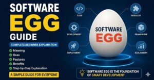 Software Egg Guide| Complete Beginner Explanation