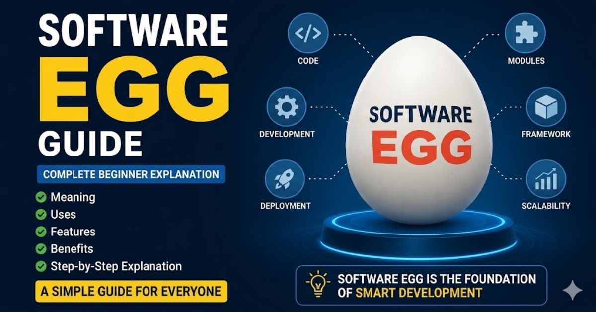 Software Egg Guide| Complete Beginner Explanation